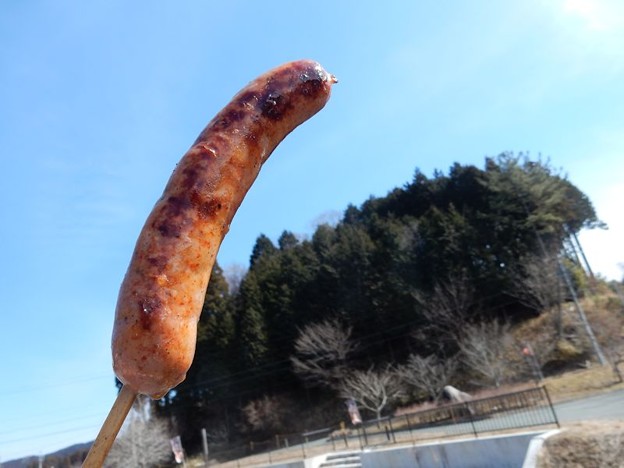 DSCN1348 ジゴクフランク 写真: DSCN1348 ジゴクフランク
