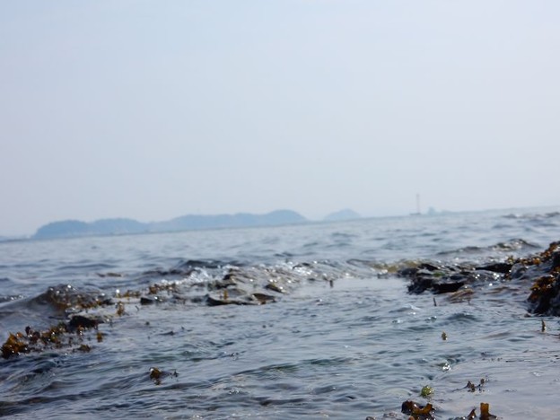 DSCN1412 春海 写真: DSCN1412 春海