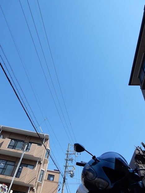 DSCN1694 良い天気 写真: DSCN1694 良い天気