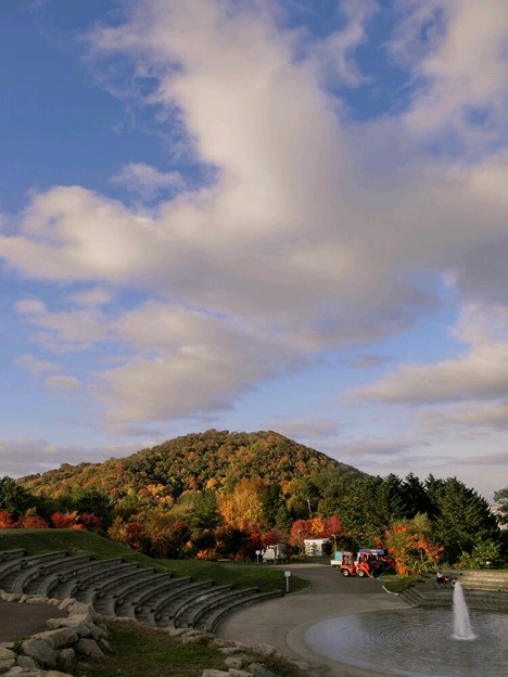 旭山から円山の紅葉を見て