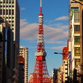 Photos: ビルの谷間の東京タワー