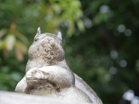 近所の公園で06