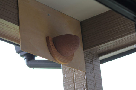 人工巣swallow bowl