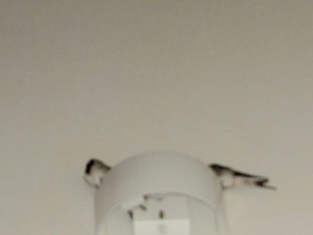 階段ライトで