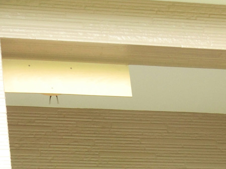 ちょこんと燕尾