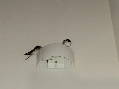 お休みなさい
