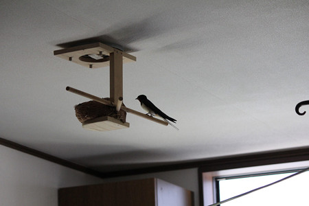 確認