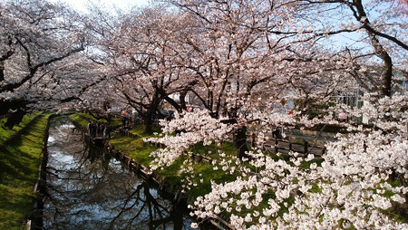 新河岸川