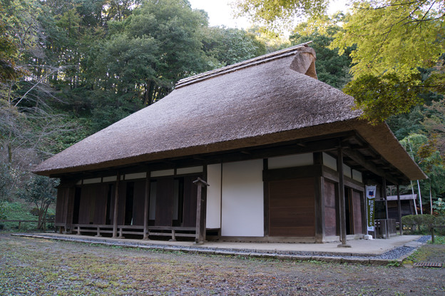 屋根の茅葺きが新調された、旧荻野家です。