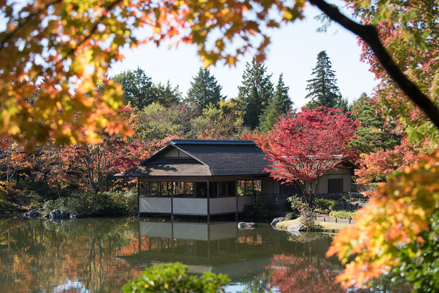 日本庭園の紅葉(2_1)清池軒