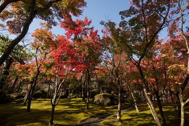 箱根美術館_庭園の様子2
