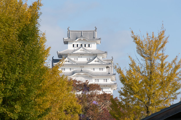 姫路城【大手前公園から】