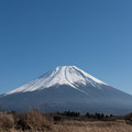 富士山【朝霧高原からの眺め】4