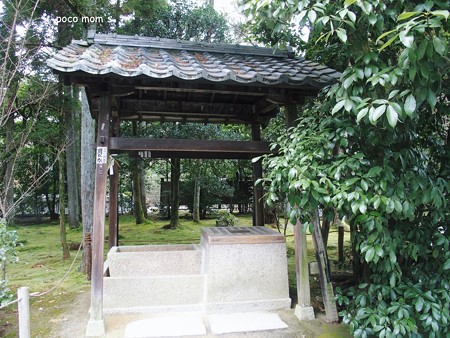 龍安寺 手水舎2015年01月11日_P1110011