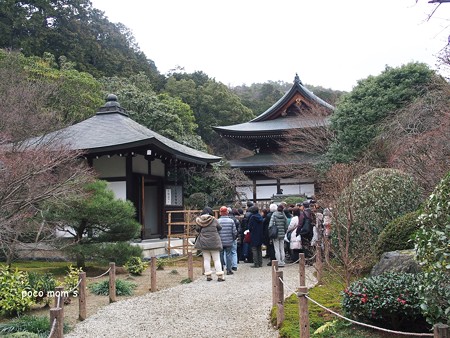 龍安寺 細川廟と仏殿 2015年01月11日_P1110060