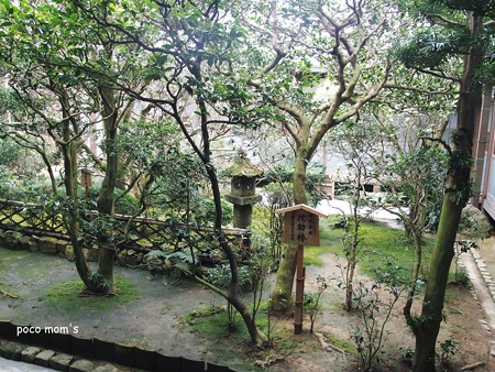 龍安寺方丈東庭 日本最古 侘助椿 2015年01月11日_P1110072