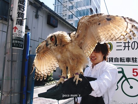 吉祥寺 ふくろう2015年03月11日_P3110147~1
