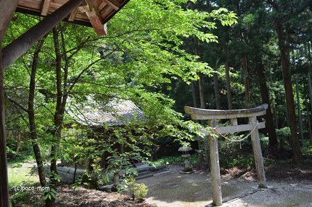 長浜 大聖寺不動堂 DSC_0048