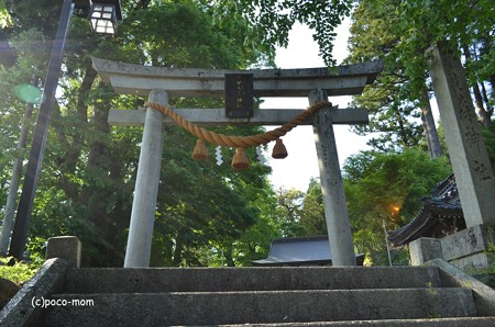 長浜市野瀬 光福寺 DSC_0188
