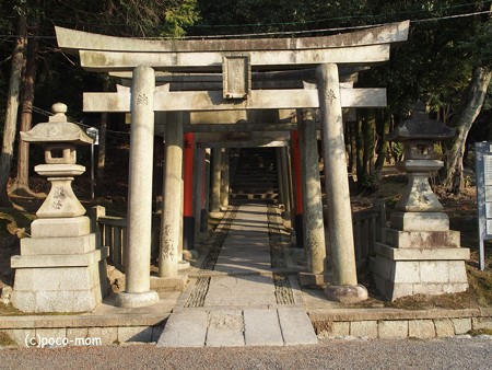 東福寺鎮守 五社成就宮 P1110232