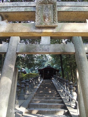 東福寺鎮守 五社成就宮 P1110237