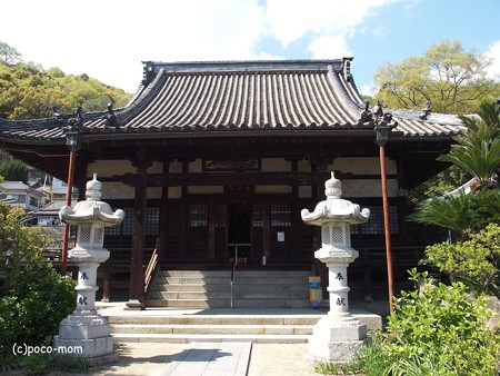 持光寺 本堂 P4110023