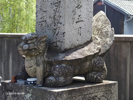 光明寺 贔屓 P4110037
