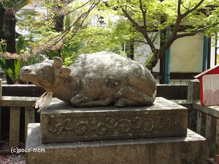 尾道 御袖天満宮 P4120193