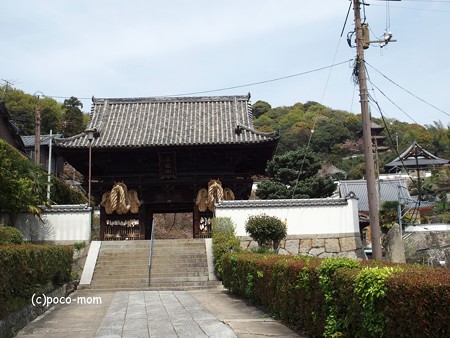 西國寺 西国寺 P4120206
