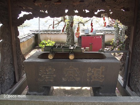 西國寺 西国寺 P4120224