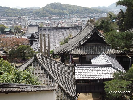 西國寺 西国寺 P4120248