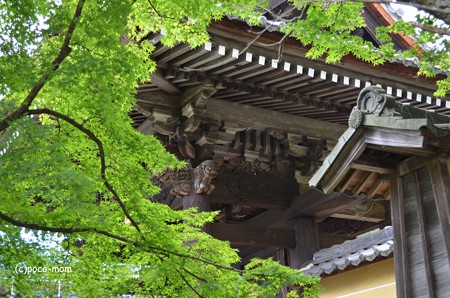 滋賀湖北、米原市 蓮華寺 DSC_0004