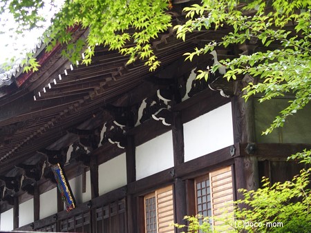 滋賀湖北、米原市 蓮華寺 P6190052