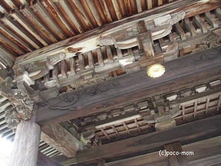 滋賀湖北、米原市 蓮華寺 P6190057