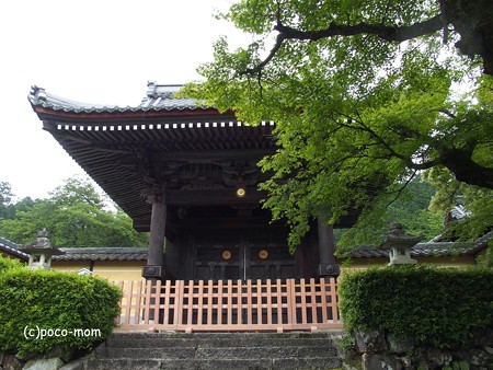 滋賀湖北、米原市 蓮華寺 P6190067