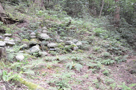 米原市 湖北 蓮華寺 DSC_0023