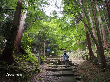 米原市 湖北 蓮華寺 P6190027