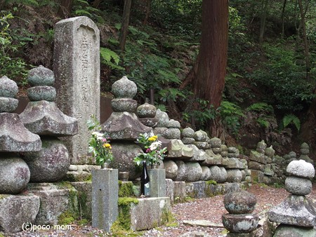 米原市 湖北 蓮華寺 P6190038