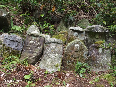 米原市 湖北 蓮華寺 P6190041