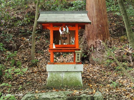 米原市 湖北 蓮華寺 P6190045