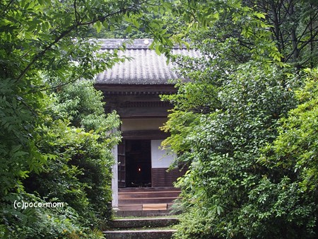 米原 観音の里 日光寺 P6190180