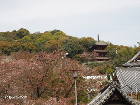 西國寺 P4120212