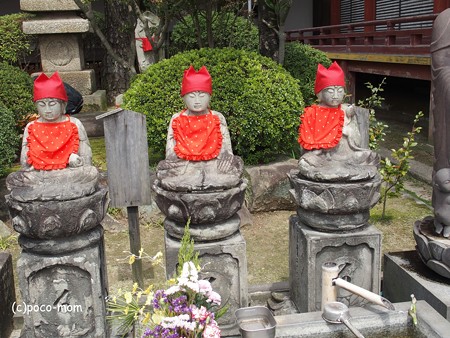 尾道 浄土寺 P4120290