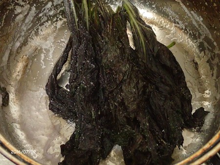 梅干を作る