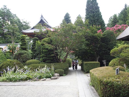 安楽寺 P8150024