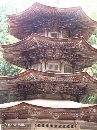 安楽寺 八角三重塔 P8150055