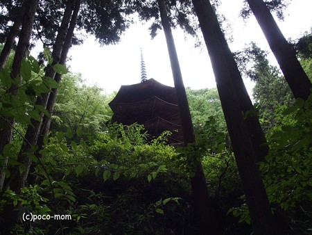 安楽寺 八角三重塔 P8150083