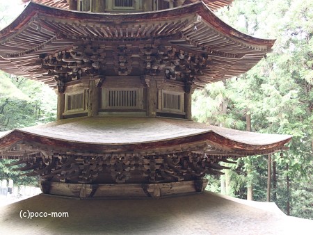 安楽寺 三重塔 P8150073