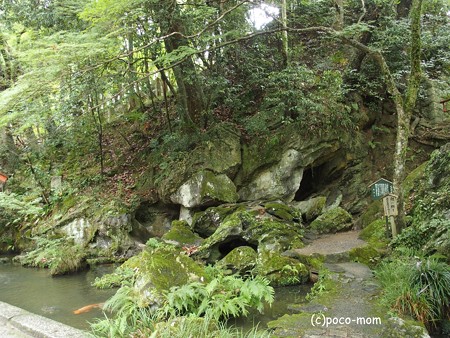 石山寺 参道 P8270291