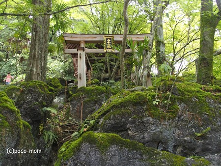 石山寺 三十八所権現社 P8270314